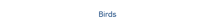 Birds